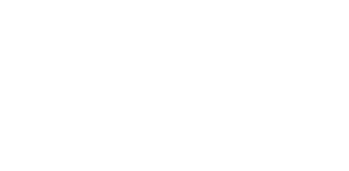 CCS — Cairo Comm. Systems